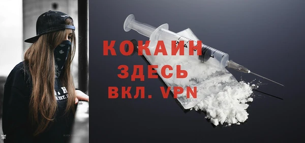 соль ск Михайлов
