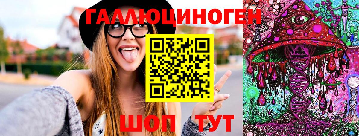 Камышлов  Галлюциногенные грибы Psilocybe  Вход с VPN 
