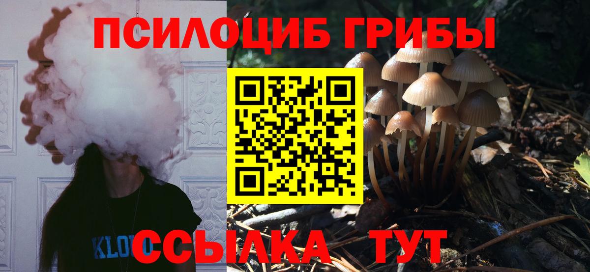 Галлюциногенные грибы мицелий Камышлов